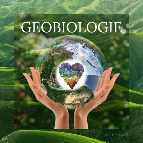 Prestation géobiologie