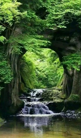Source d'eau courante naturelle